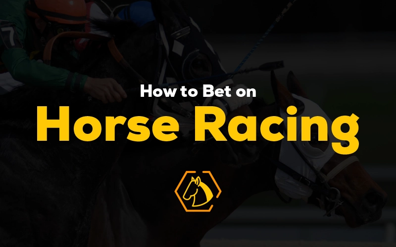 How to Bet Horse Racing
