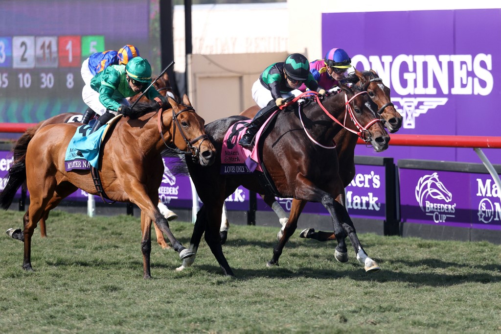 Breeders Cup Betting 2022