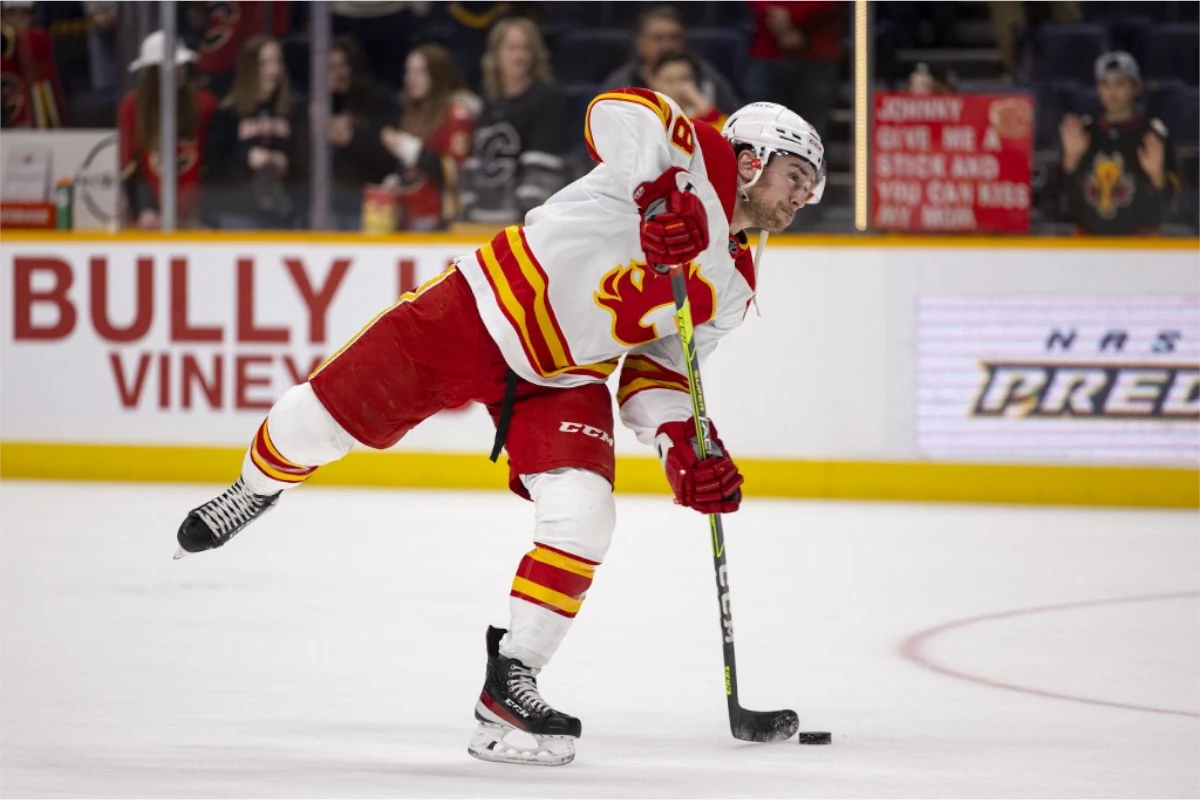 Calgary Flames at Minnesota Wild Stats and Trends