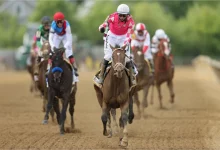 2022 Preakness Stakes Betting Analysis and Prediction