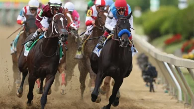 2022 Preakness Stakes Betting Preview, Odds, Picks & Predictions