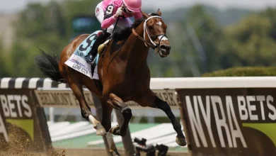 Belmont Stakes Betting Analysis and Prediction