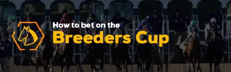 How to Bet on the Breeders Cup
