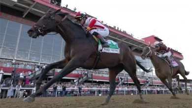2022 Preakness Stakes A Recap of Best Jockeys to Bet On