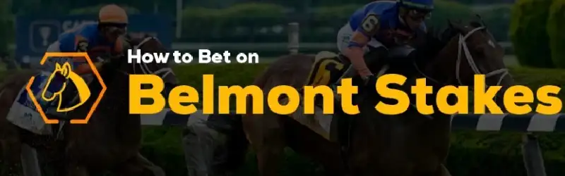 How to Bet on Belmont Stakes