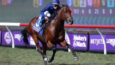 2022 Breeders' Cup Emerging Contenders You Should Bet On