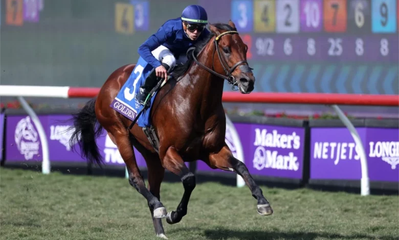 2022 Breeders' Cup Emerging Contenders You Should Bet On
