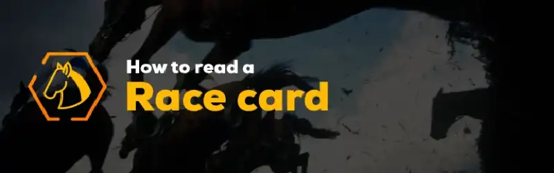 How to Read a Race Card