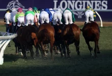 Breeders Cup: How It Works