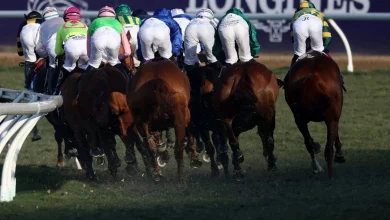 Breeders Cup: How It Works