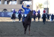 Who Is Favored To Win the Breeders' Cup Classic?