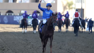 Who Is Favored To Win the Breeders' Cup Classic?