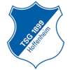 Hoffenheim Logo