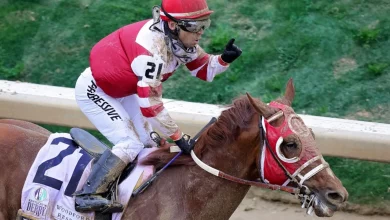 2023 Kentucky Derby Contenders Preview & Odds