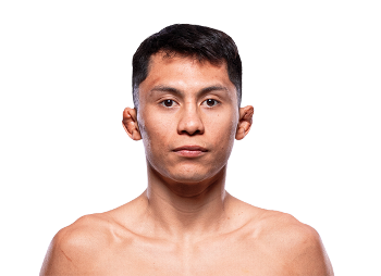 Victor Altamirano UFC Fighter