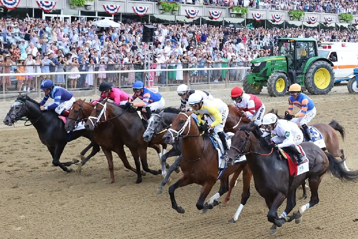 2023 Belmont Stakes Odds and Predictions IBD