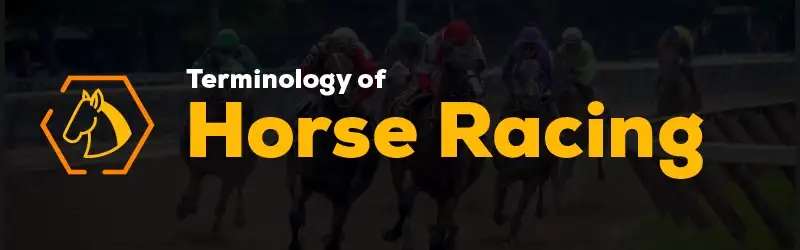 Horse racing for Dummies