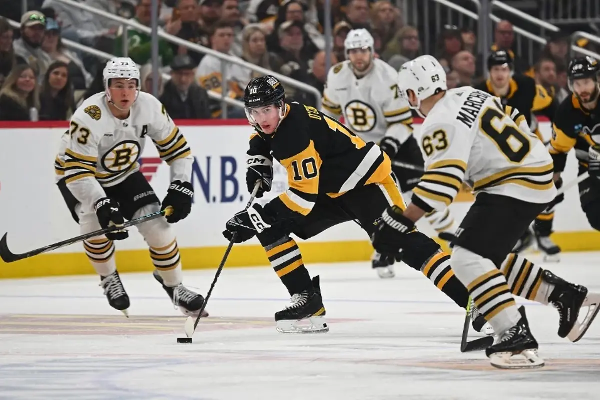 Boston Bruins vs Washington Capitals Betting Picks and Prediction