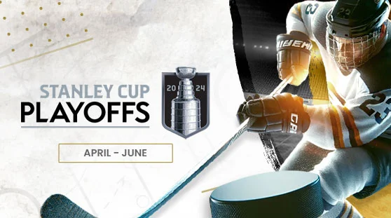 NHL 2024 Playoffs Banner 