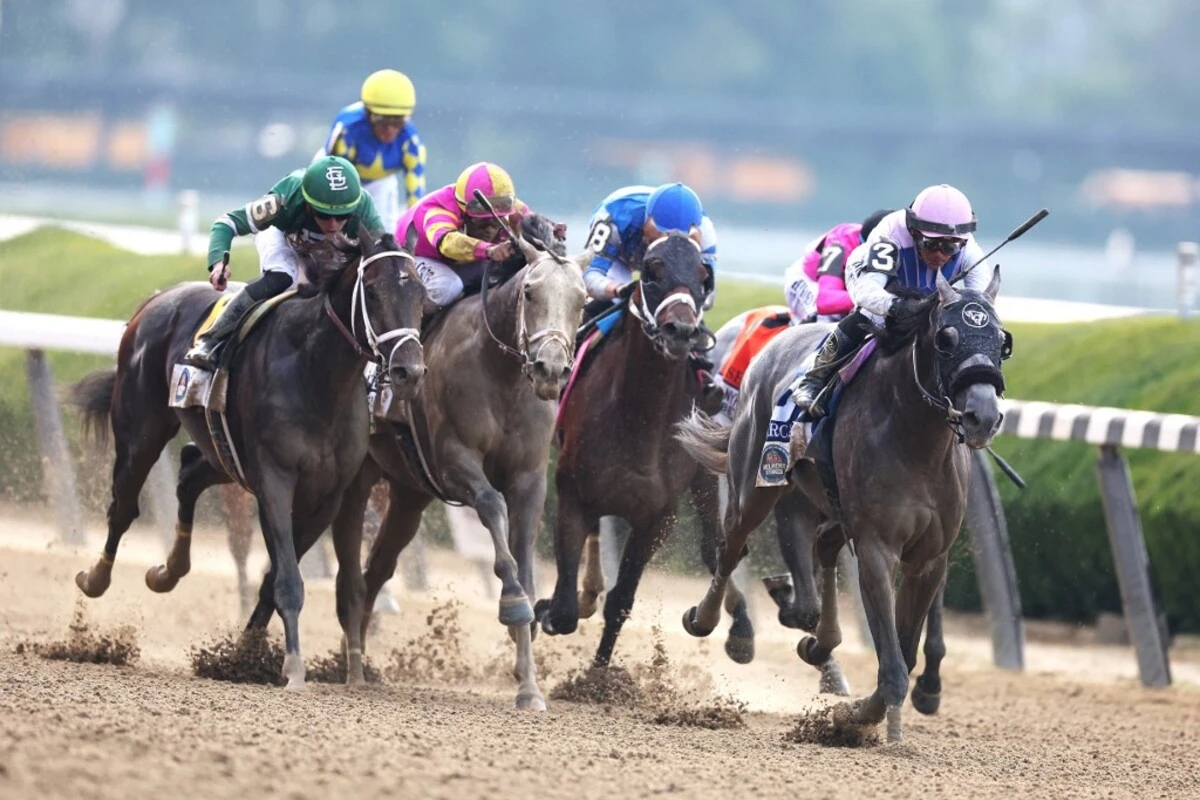 Belmont, Acorn, NY The Best Horse Races to Bet this Week IBD