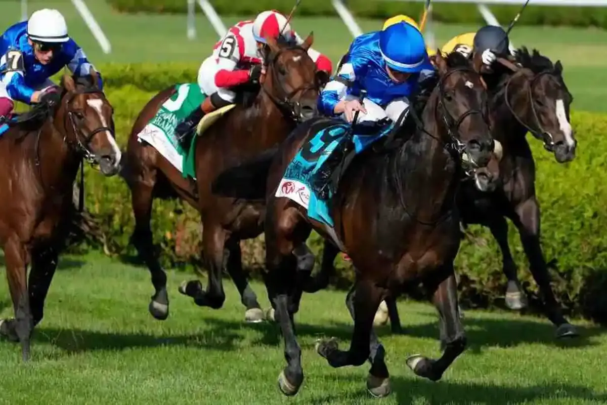 Mark Your Calendars! Top Horse Races to Watch This Week